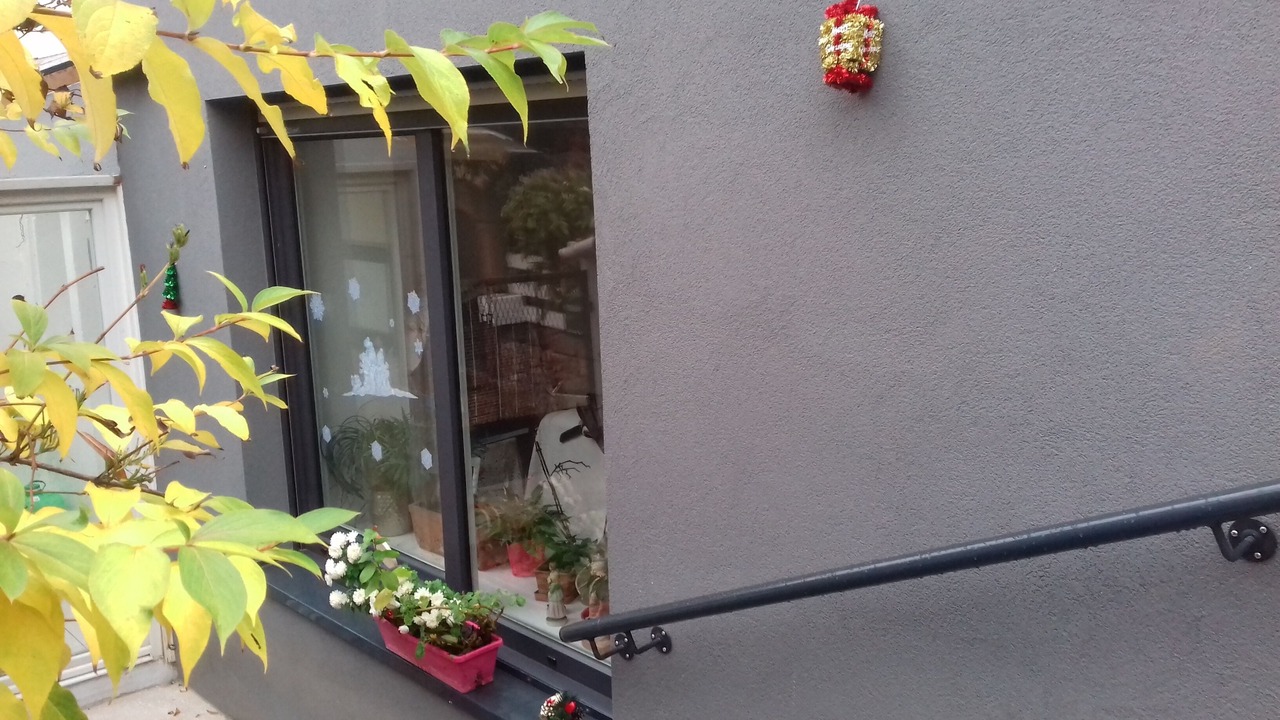 Photo of Outdoor in Mutzig