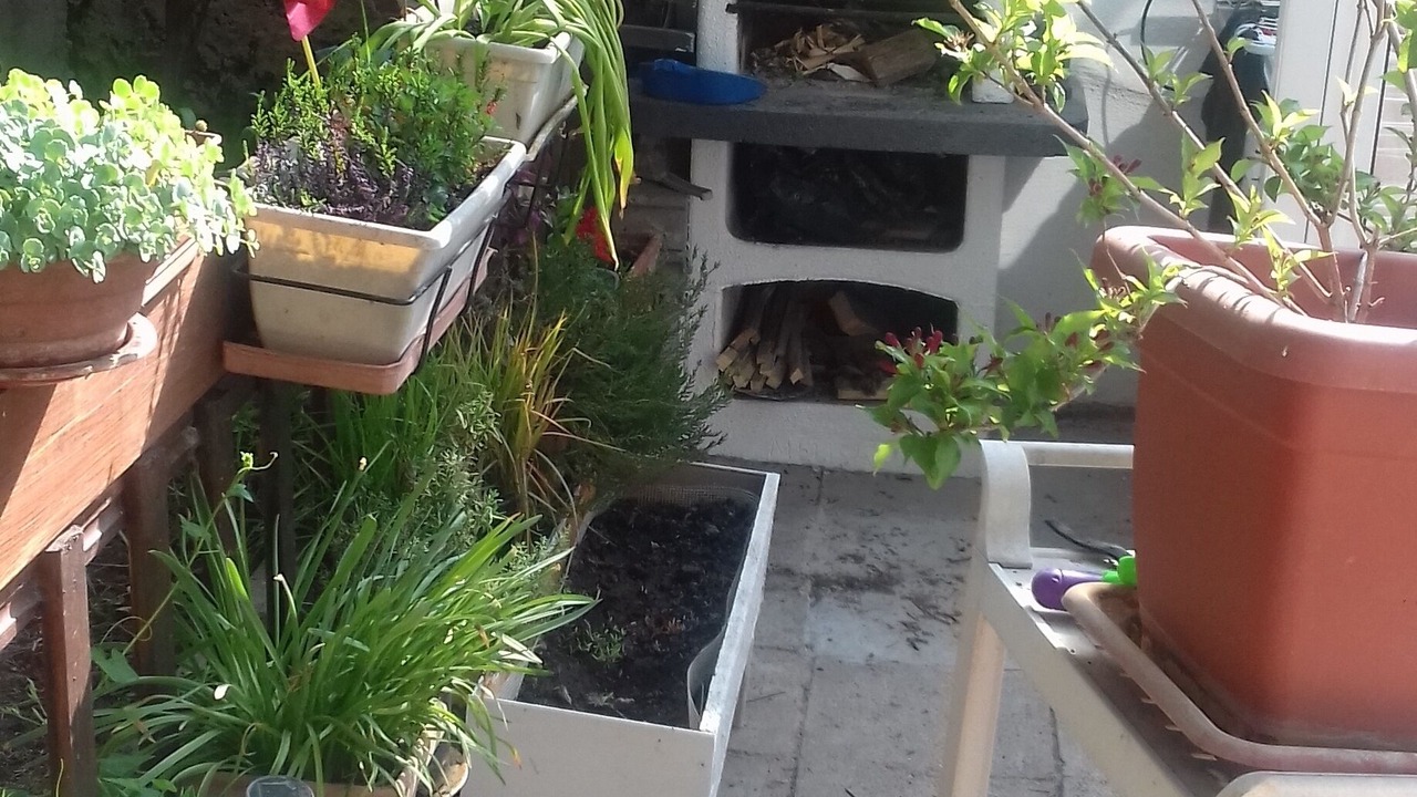 Photo of Patio Balcony in Mutzig