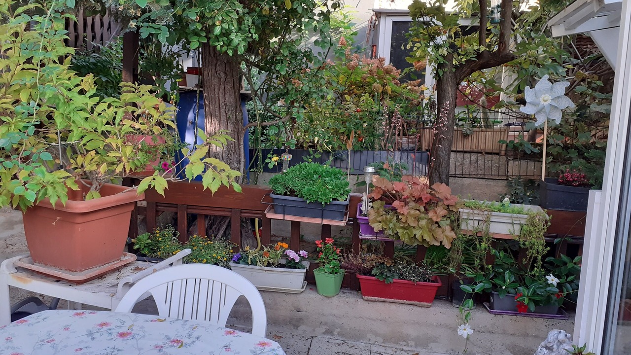 Photo of Outdoor in Mutzig