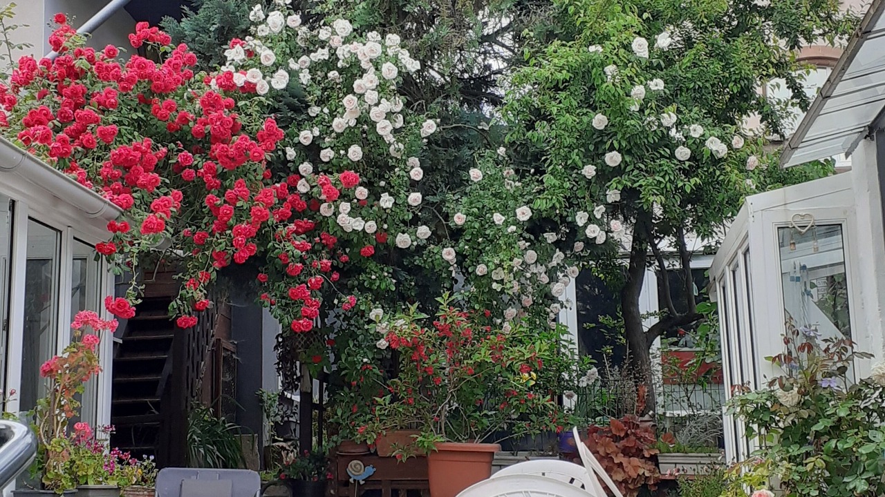 Photo of Outdoor in Mutzig