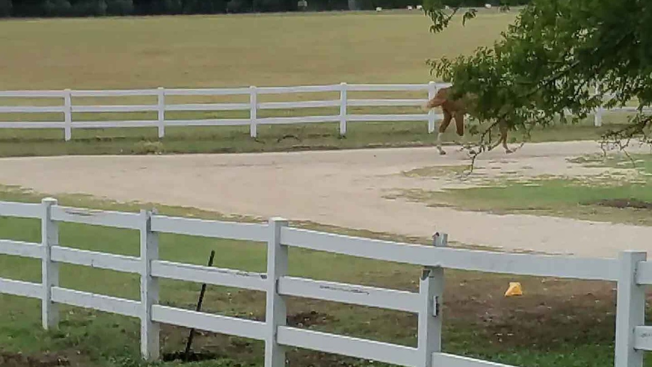 Photo of Others in Boerne