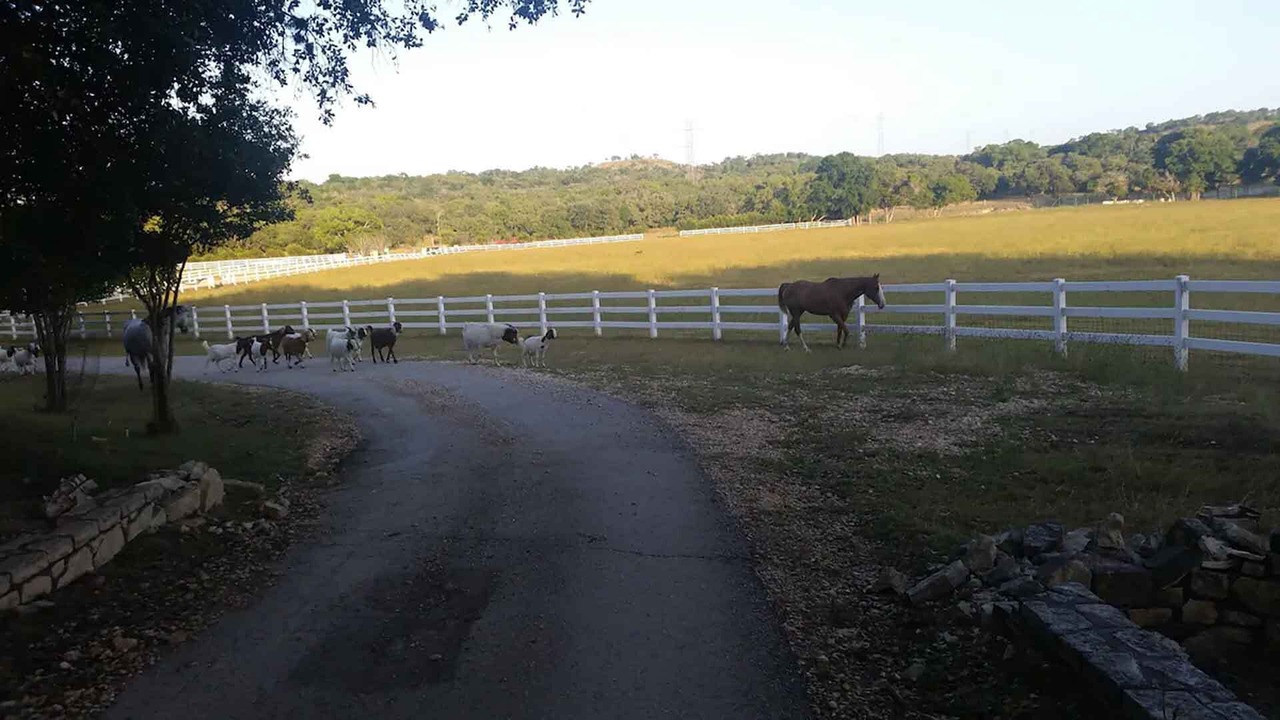 Photo of Outdoor in Boerne