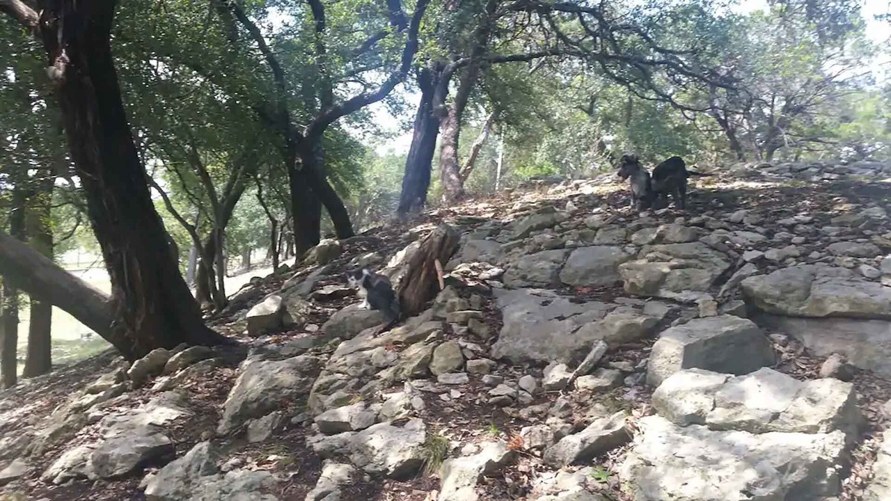 Photo of Others in Boerne
