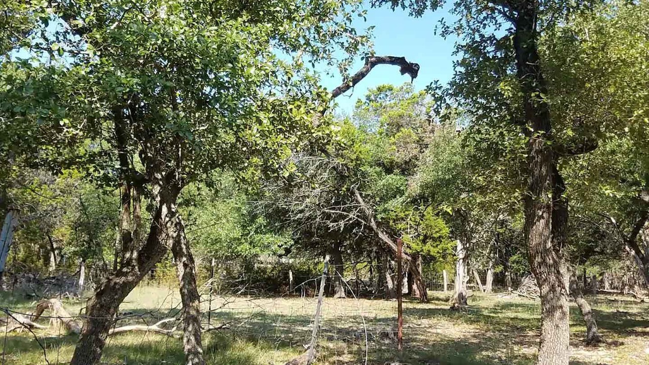 Photo of Outdoor in Boerne