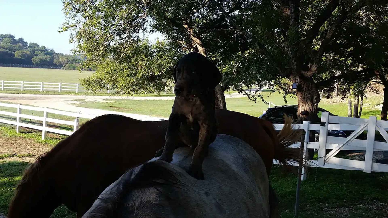 Photo of Outdoor in Boerne