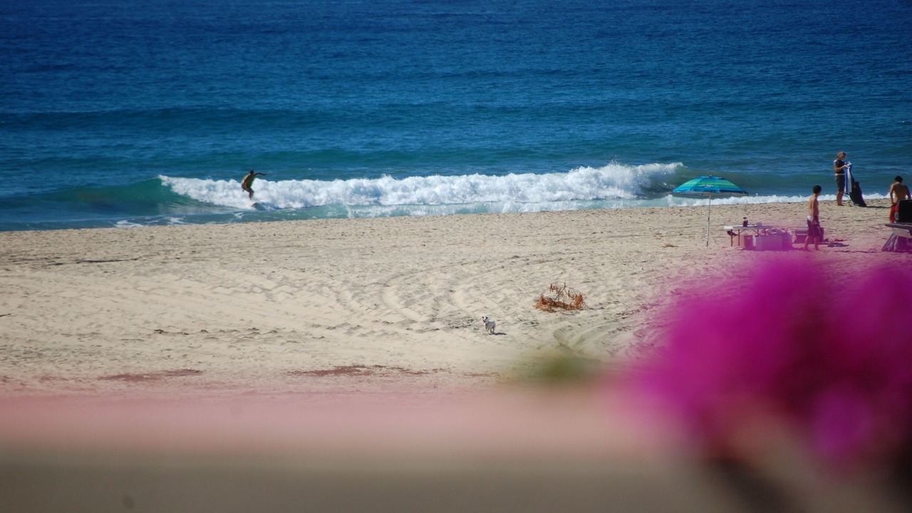 Photo of Others in El Pescadero