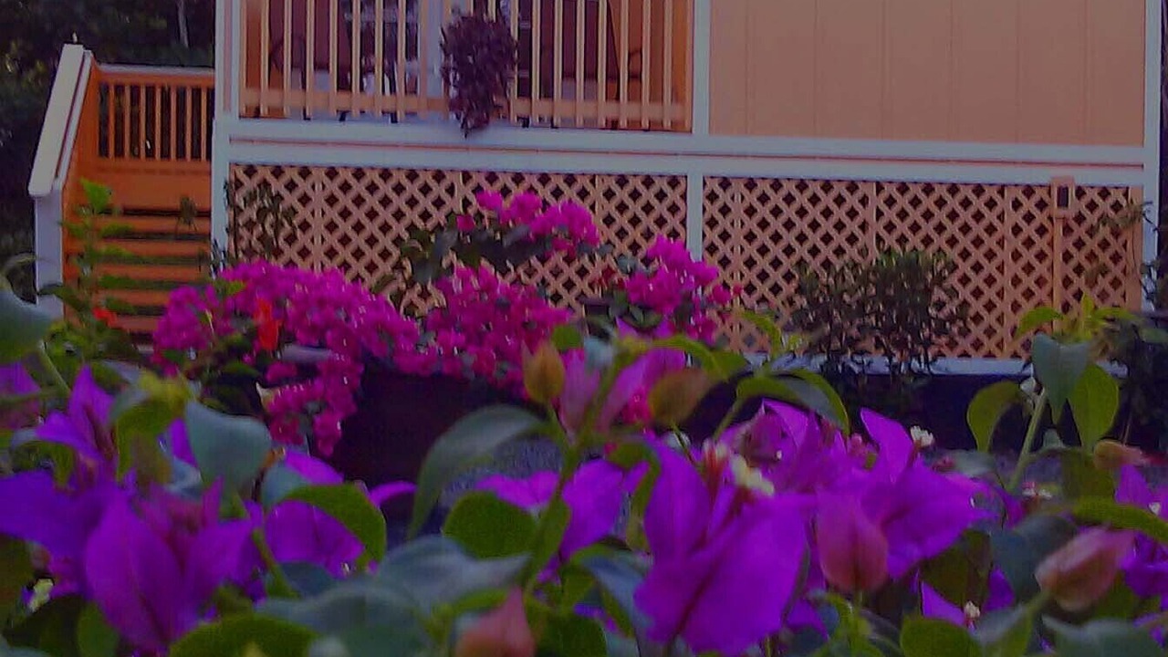 Photo of Outdoor in Kehena Beach Estates