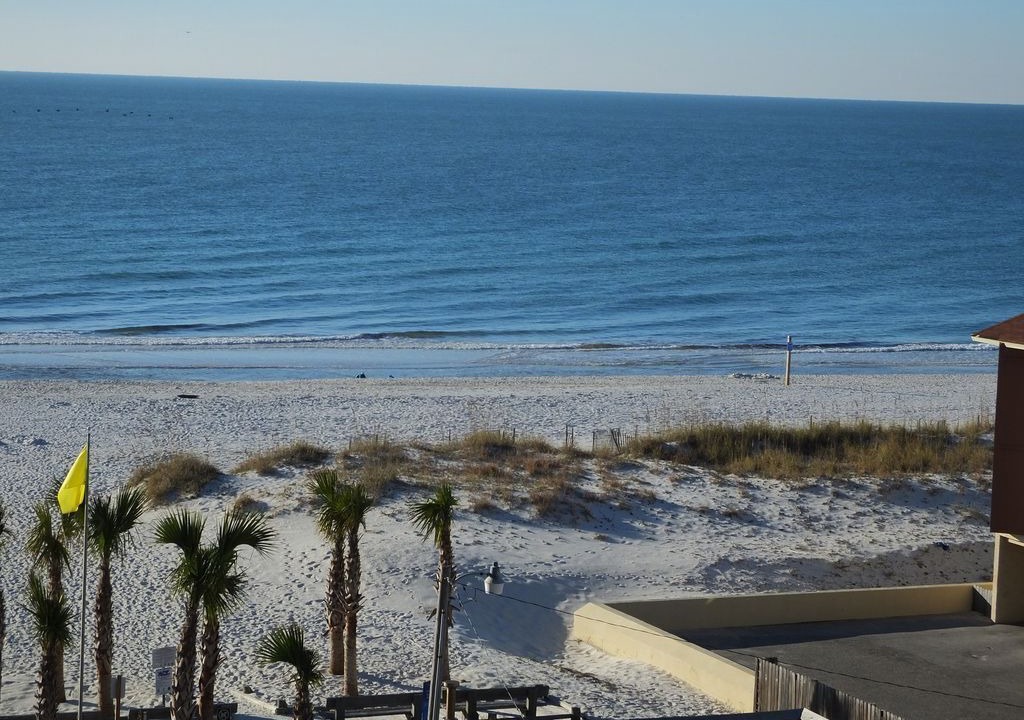 Photo of Others in Gulf Shores