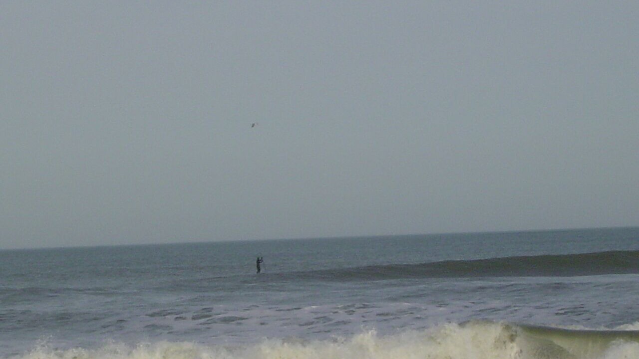 Photo of Others in Humarock