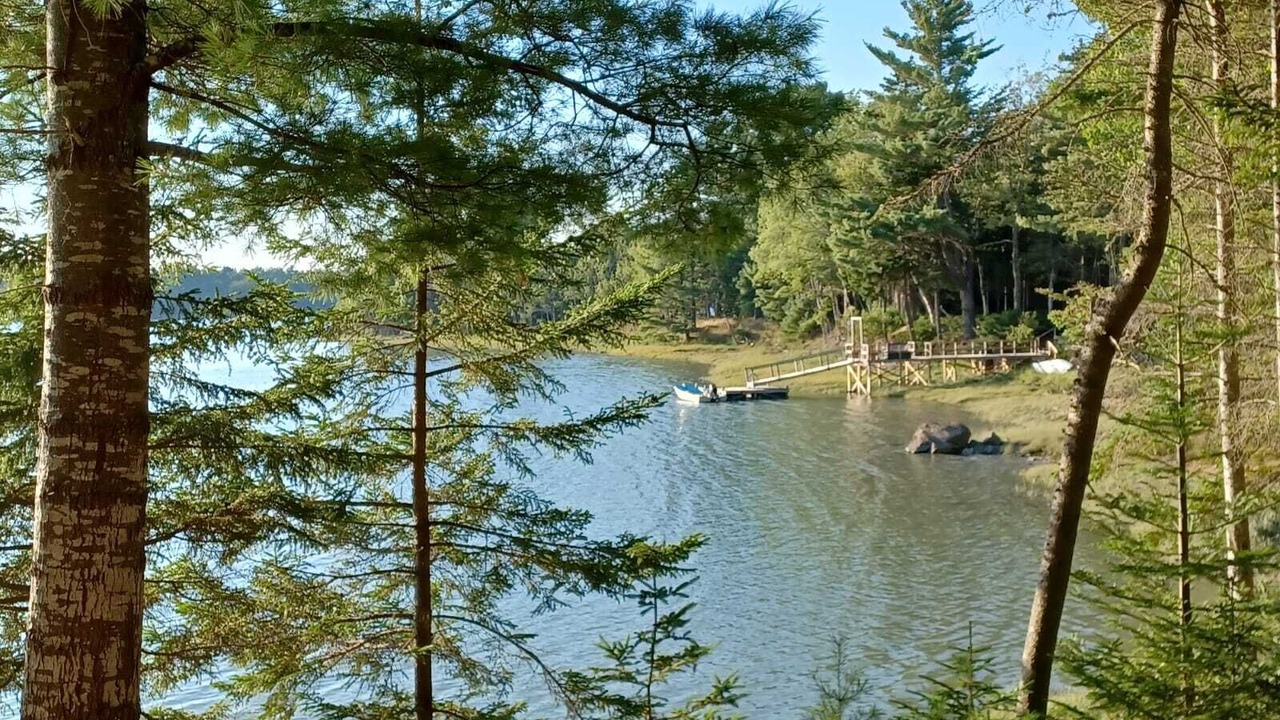 Photo of Others in Lamoine