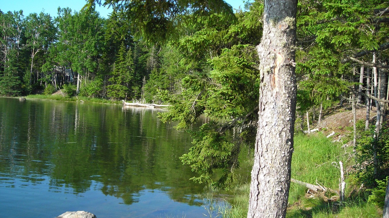 Photo of Others in Lamoine