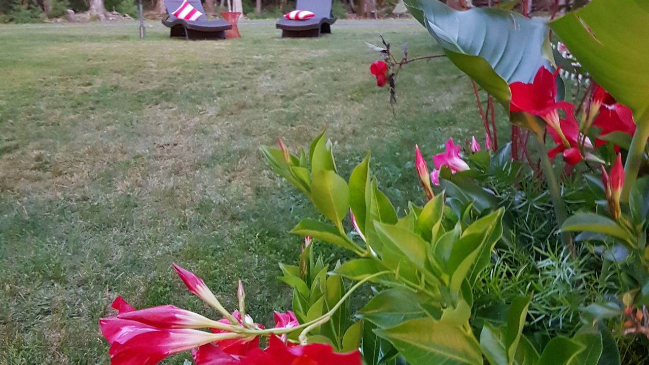 Photo of Outdoor in Lamoine