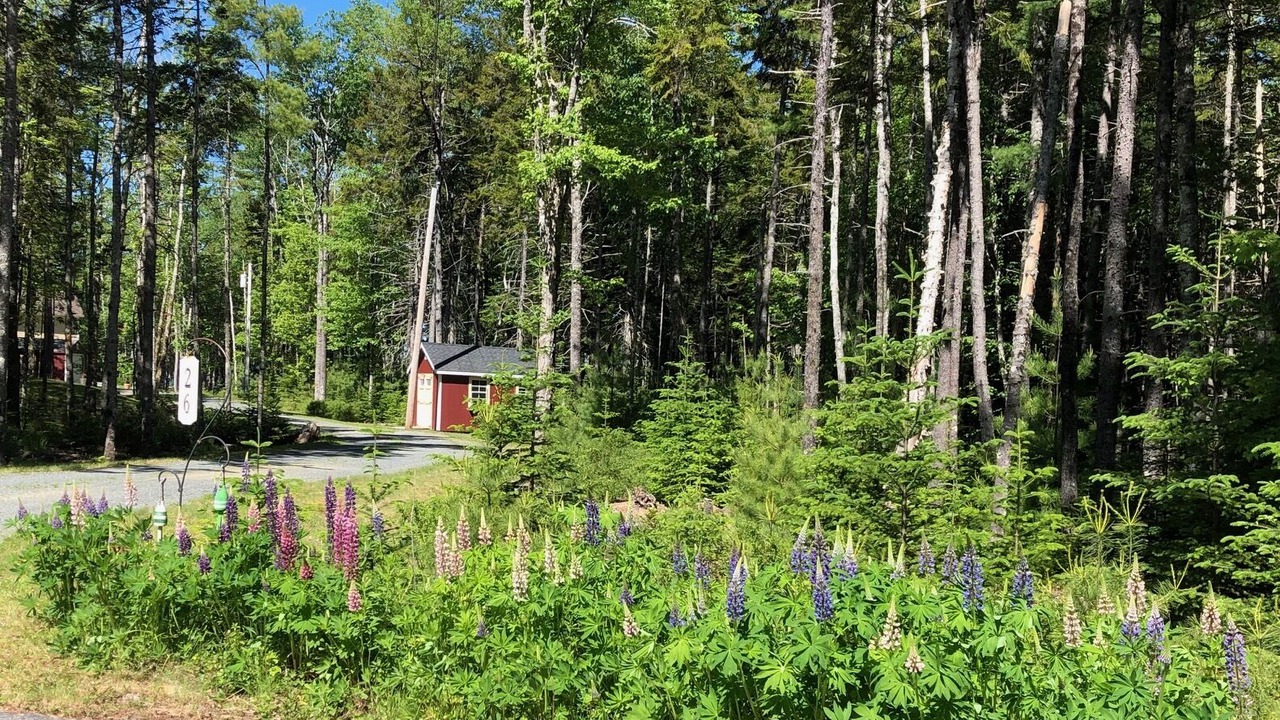 Photo of Outdoor in Lamoine