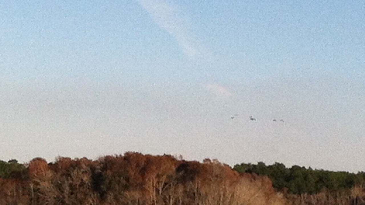 Photo of Others in Donalsonville