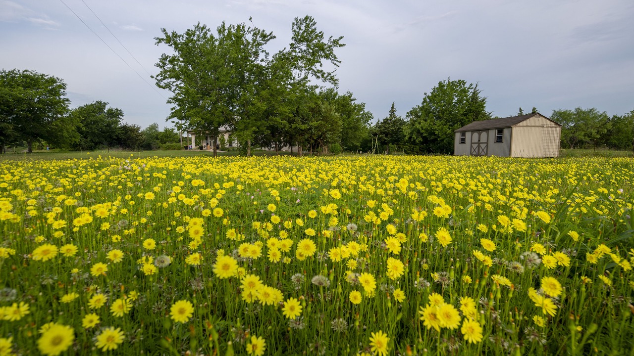 Photo of Outdoor in Elm Mott