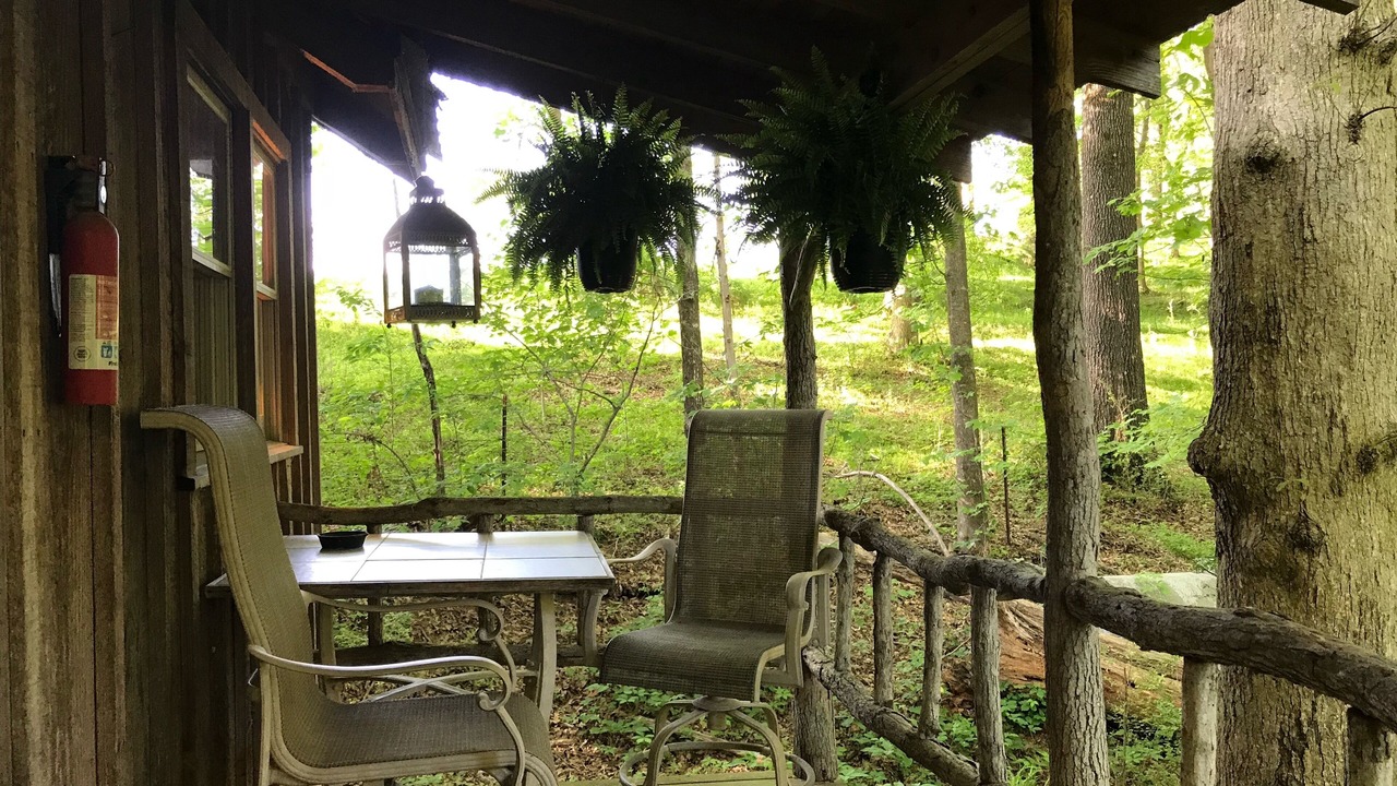 Photo of Outdoor in Clarkesville
