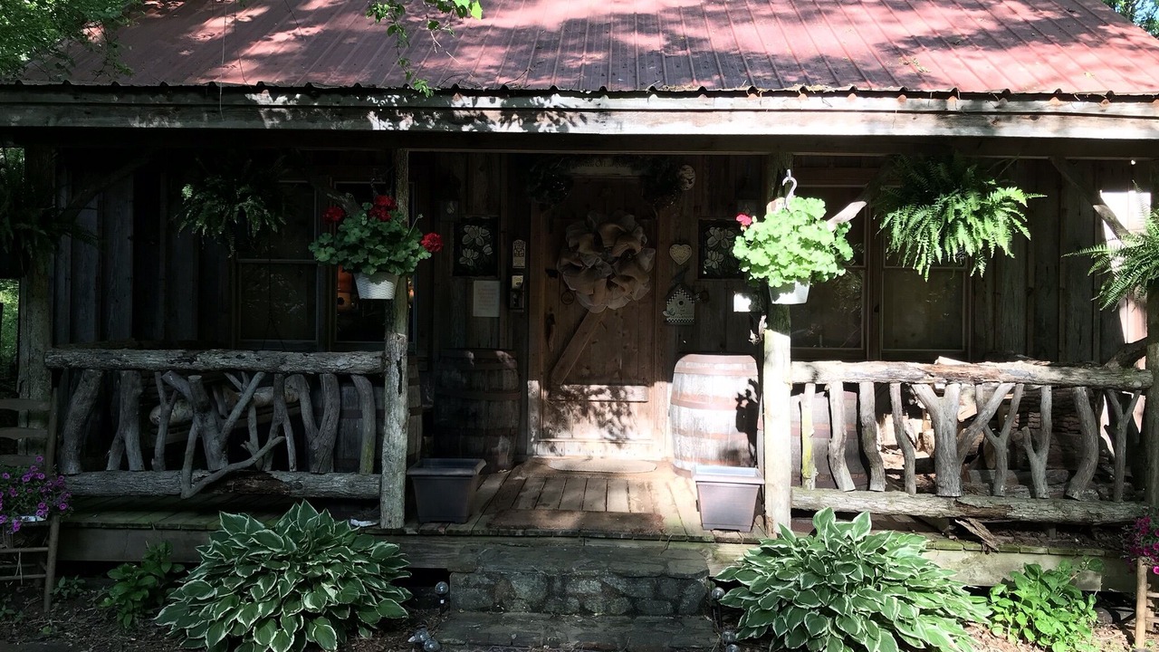 Photo of Outdoor in Clarkesville