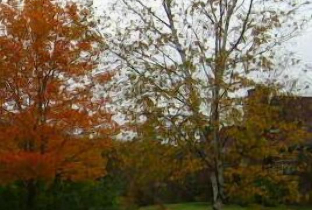 Photo of Others in North Woodstock