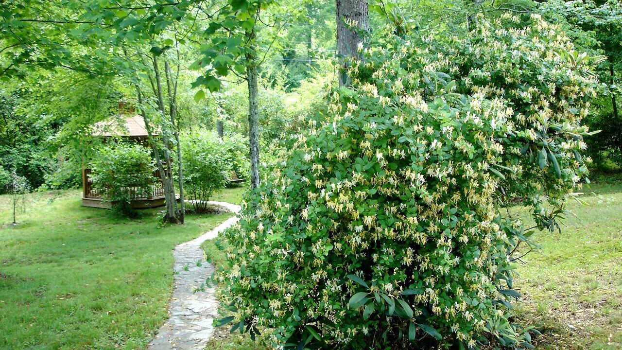 Photo of Others in Murphy