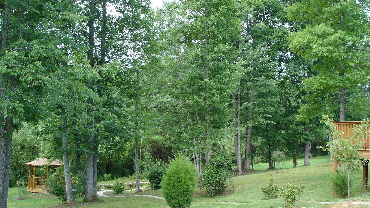 Photo of Others in Murphy