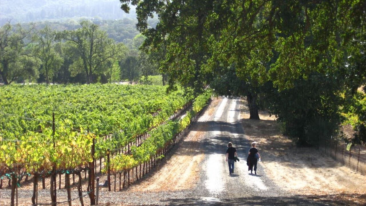 Photo of Others in Sonoma