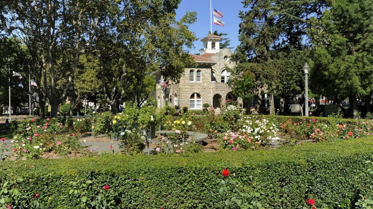 Photo of Others in Sonoma