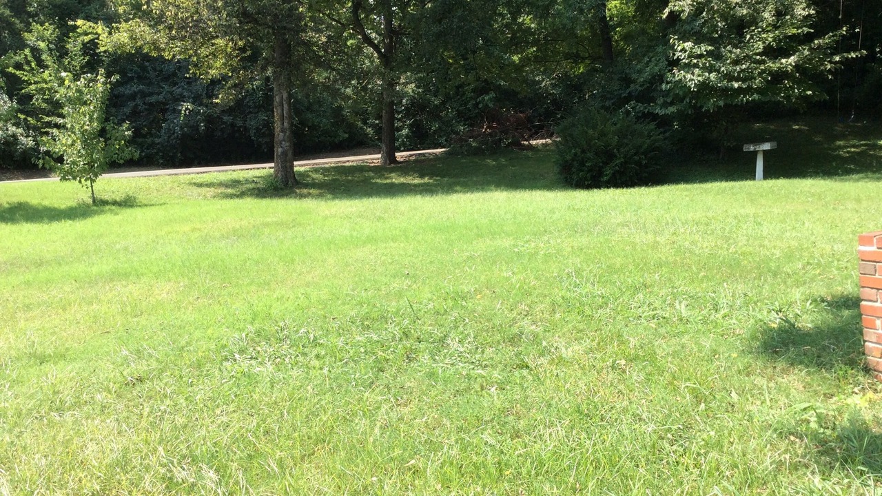 Photo of Others in Donelson