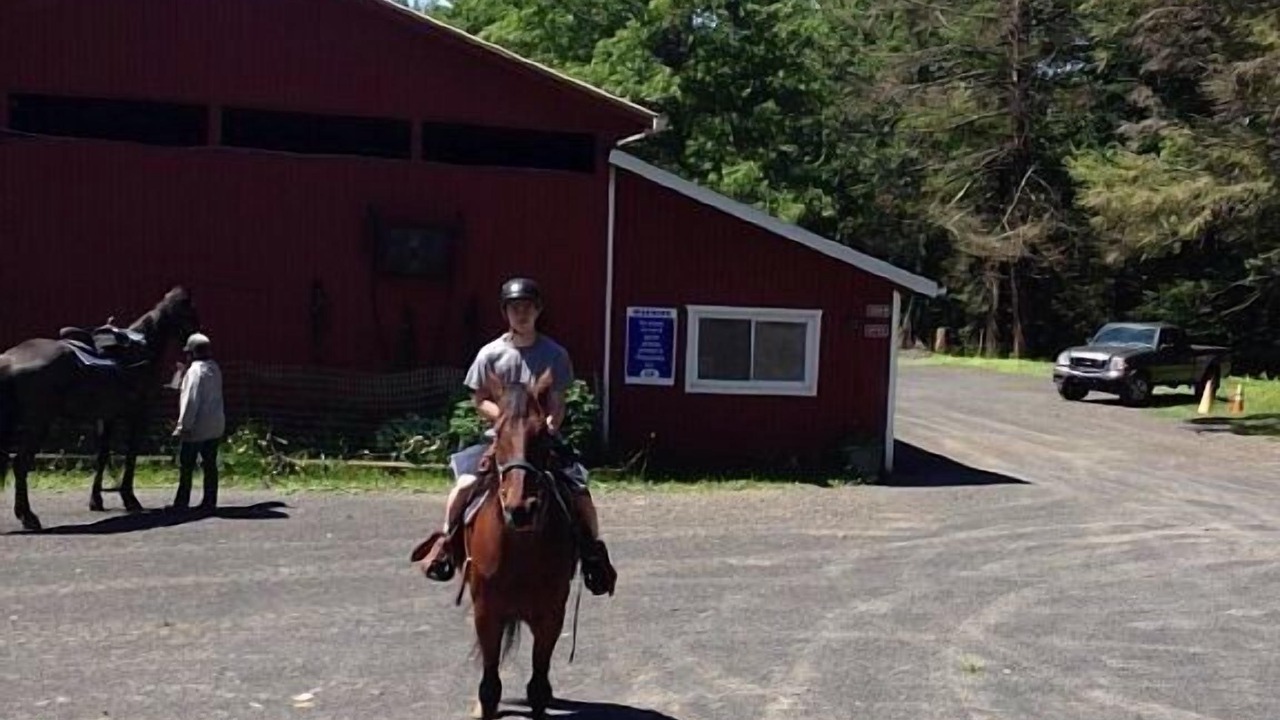 Photo of Others in Bushkill