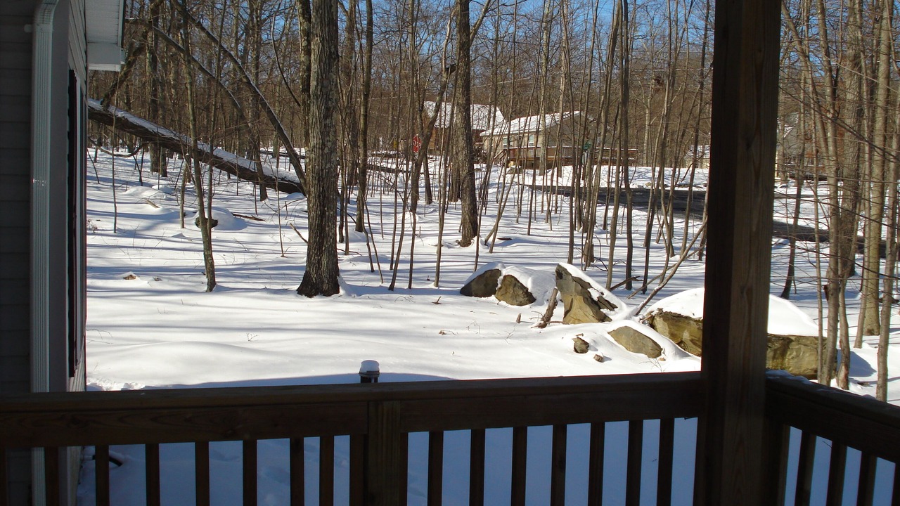 Photo of Others in Bushkill