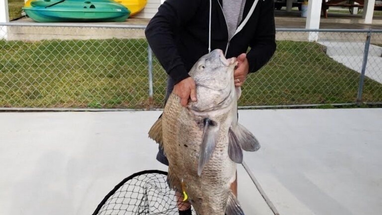 Photo of Outdoor in Jamaica Beach