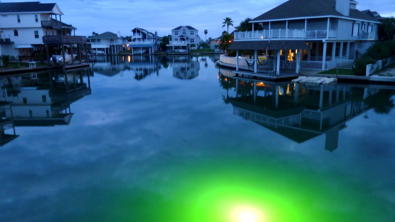 Photo of Others in Jamaica Beach