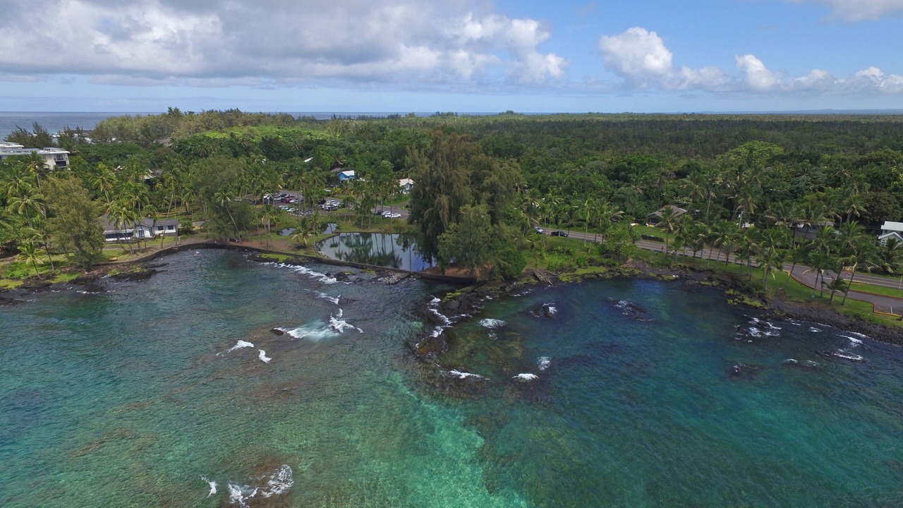 Photo of Others in Hilo