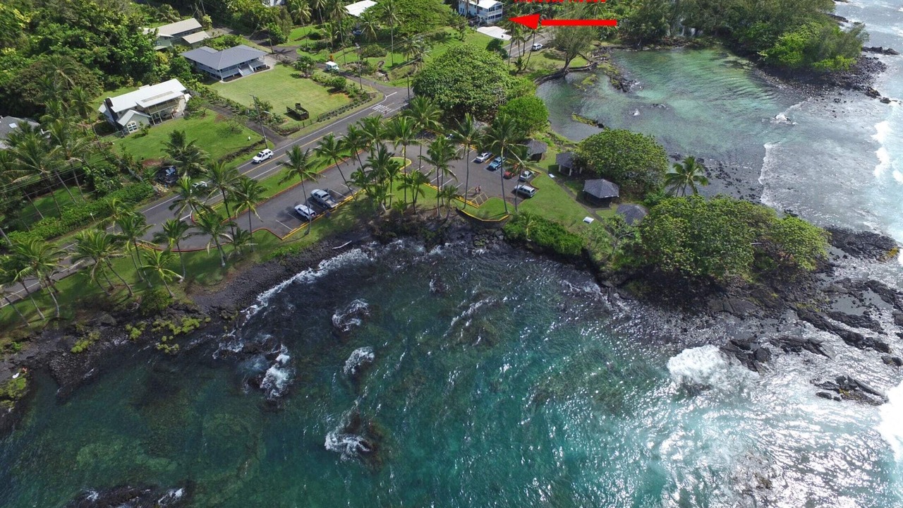 Photo of Others in Hilo
