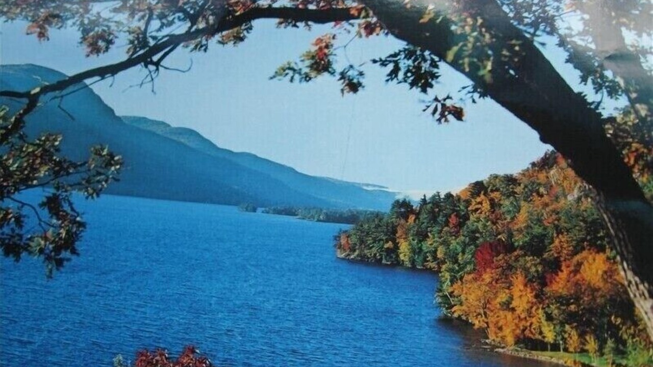 Photo of Others in Bolton Landing