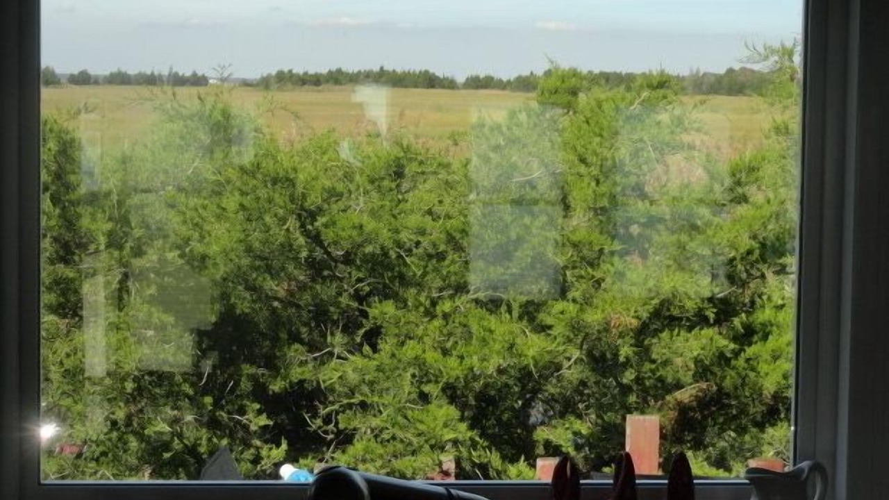 Photo of Others in Heislerville