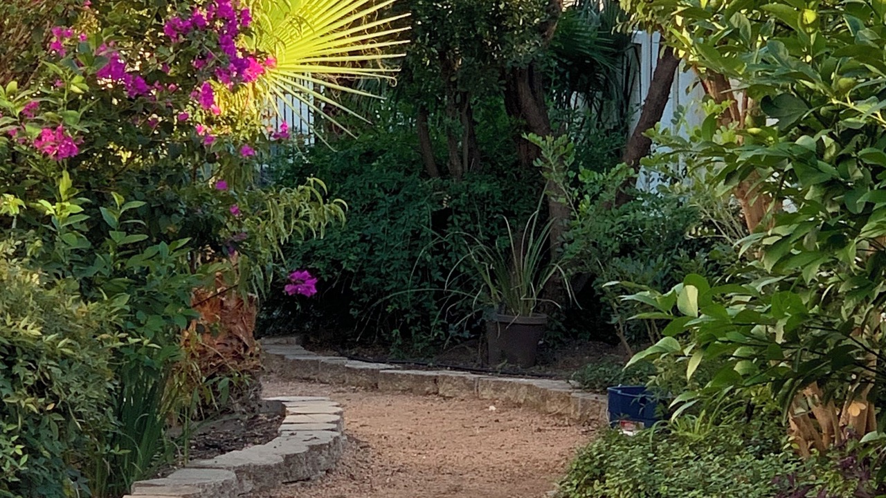 Photo of Others in North San Antonio - SAT