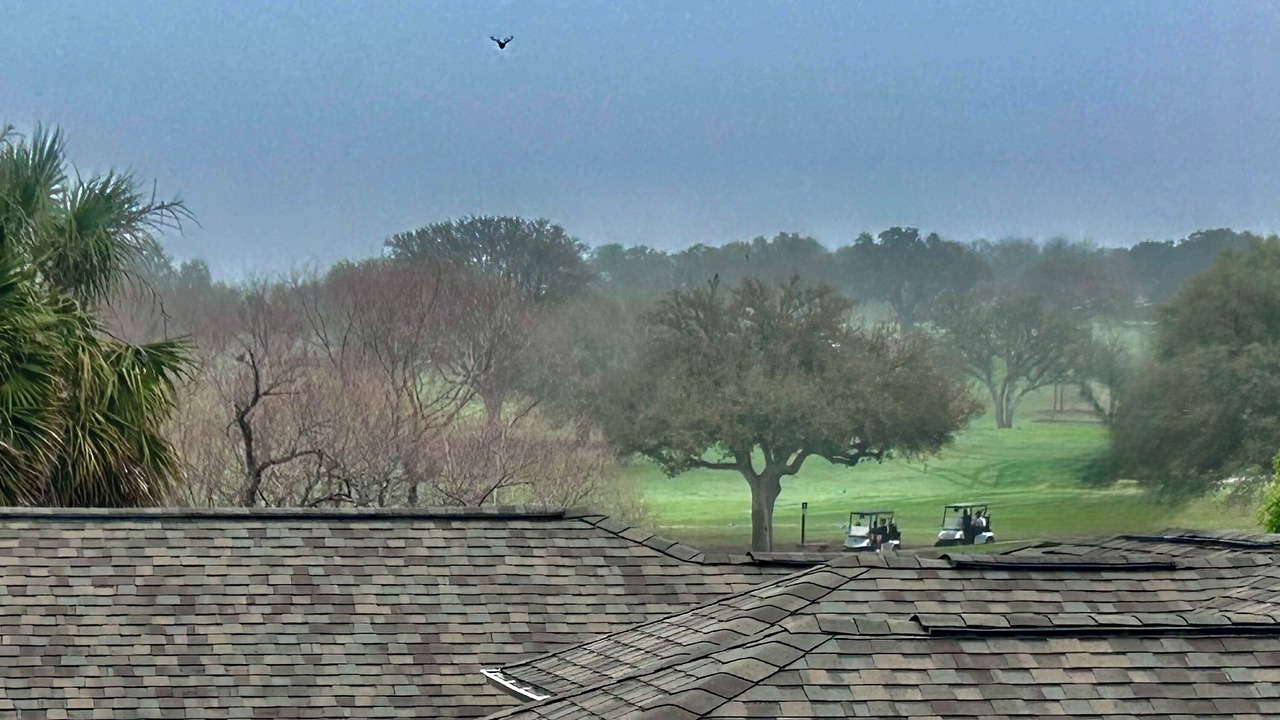 Photo of Others in North San Antonio - SAT
