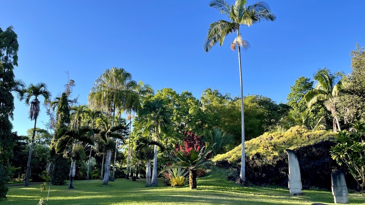 Photo of Outdoor in Kapoho