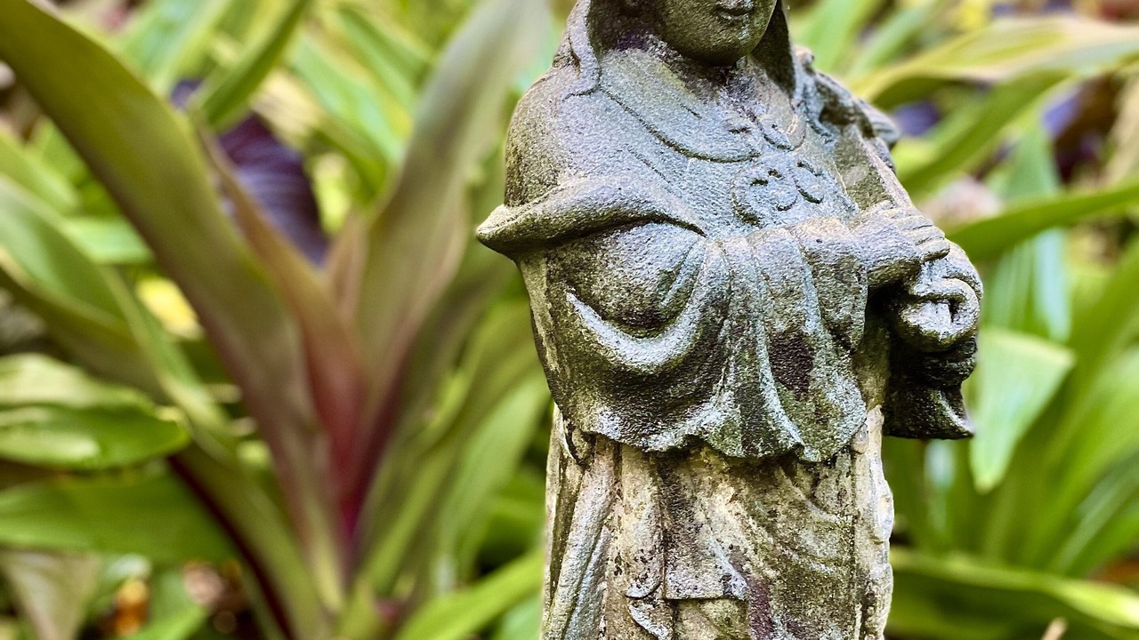 Photo of Outdoor in Kapoho