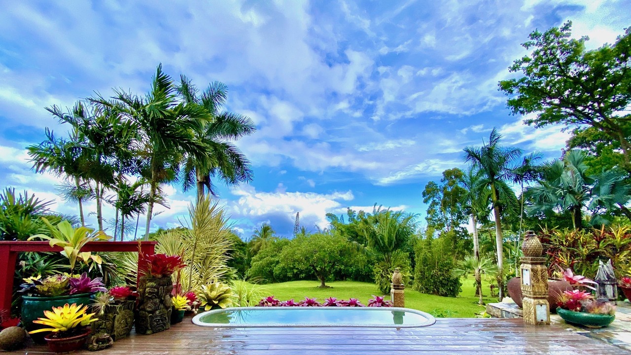 Photo of Outdoor in Kapoho