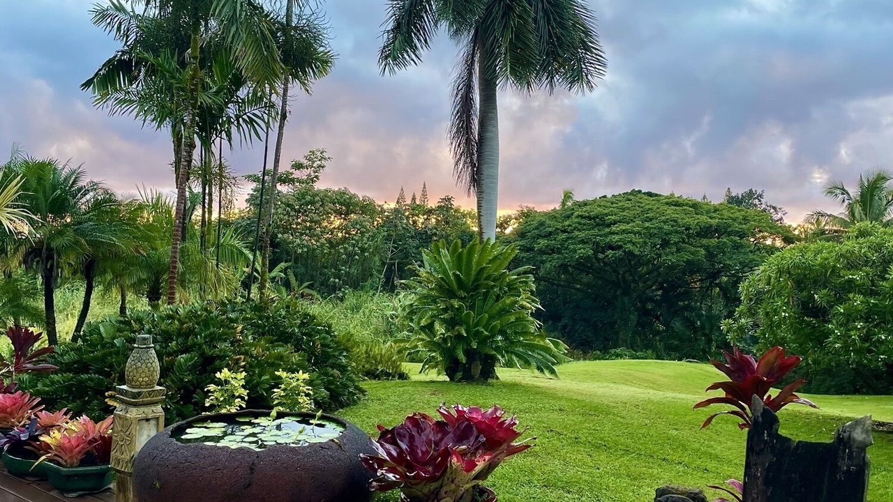 Photo of Outdoor in Kapoho