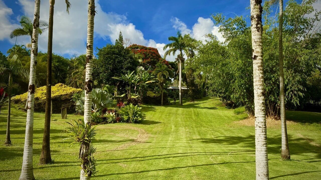 Photo of Outdoor in Kapoho