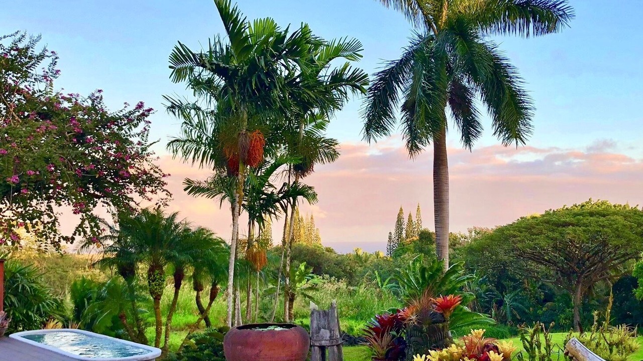 Photo of Outdoor in Kapoho