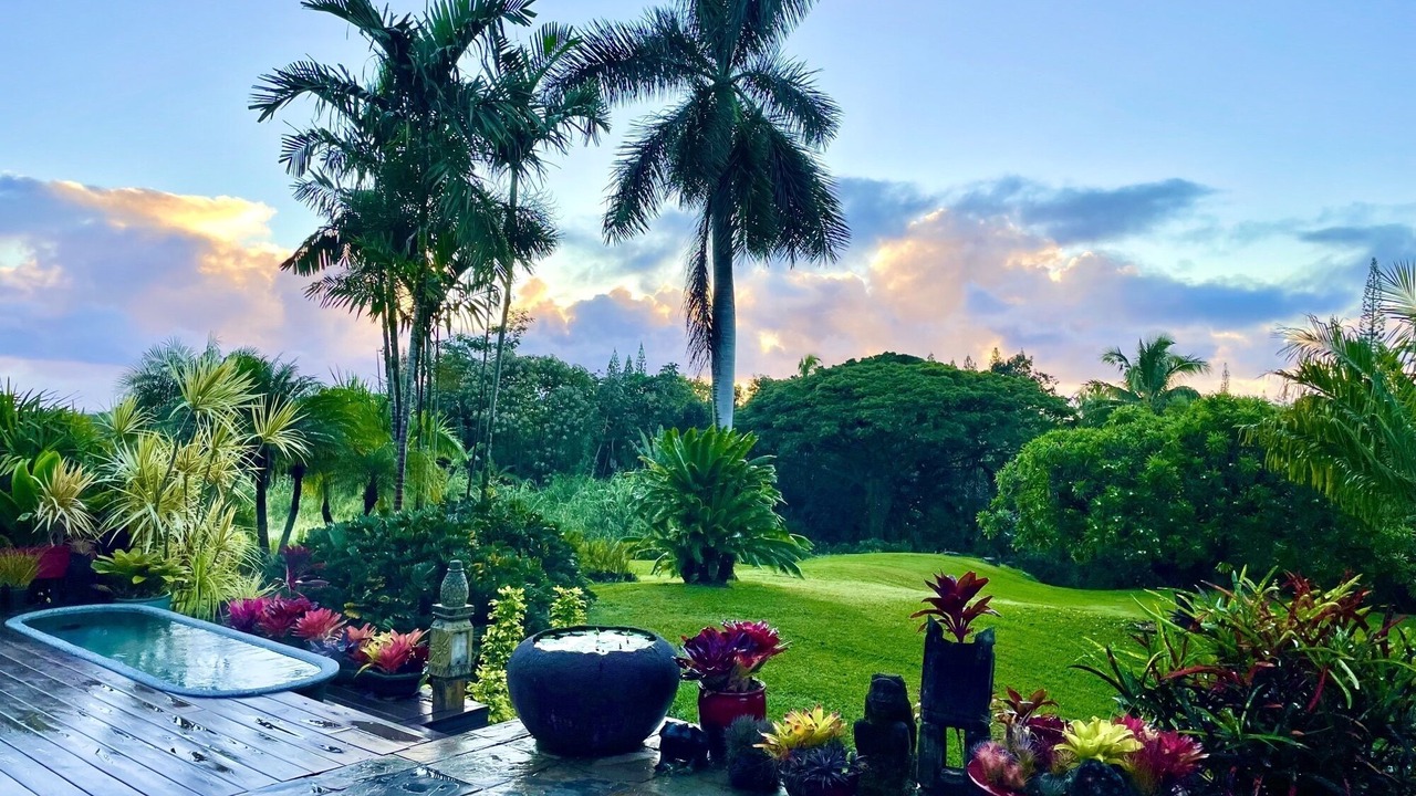 Photo of Outdoor in Kapoho