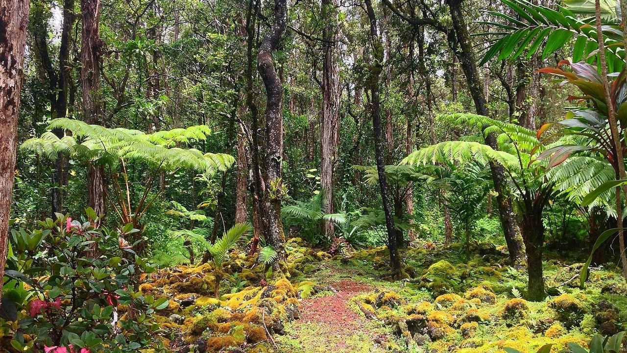 Photo of Others in Kapoho