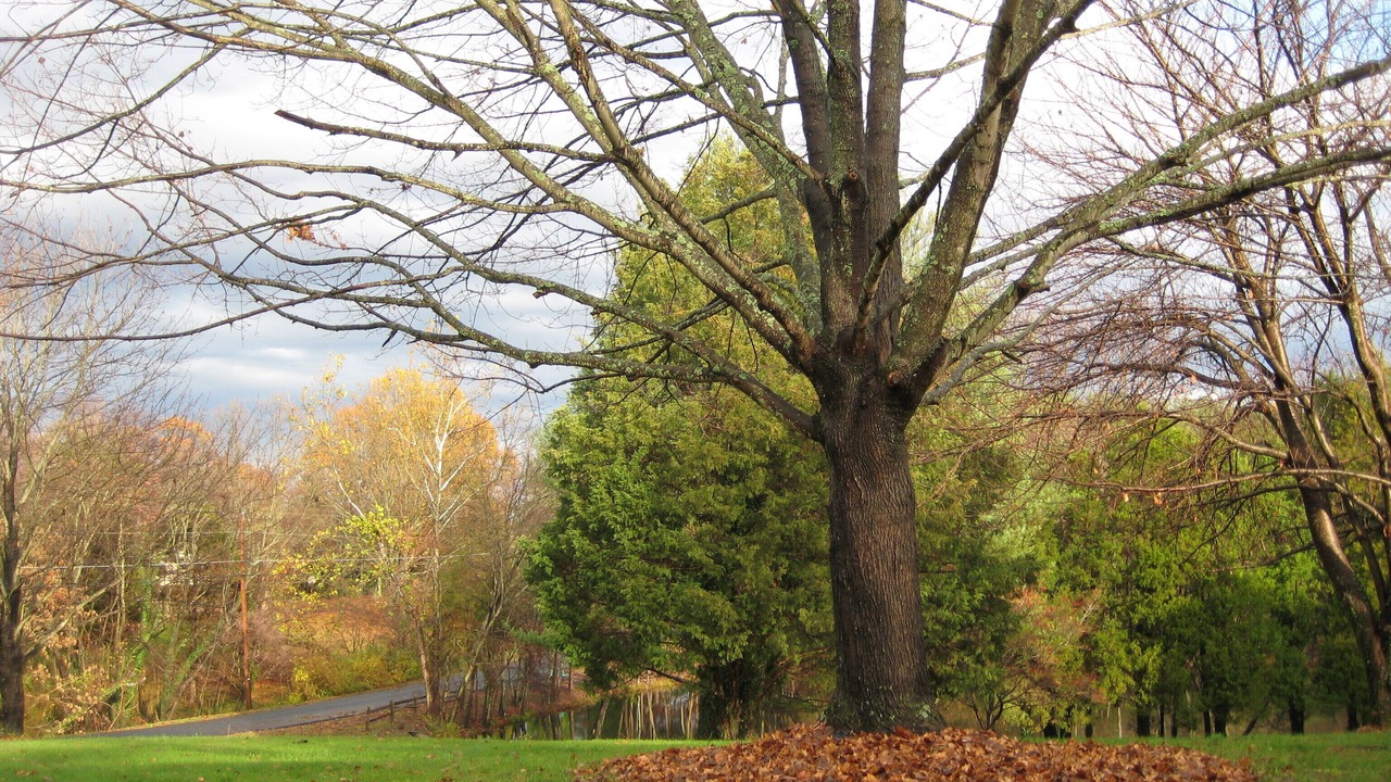 Photo of Others in Bedford Hills