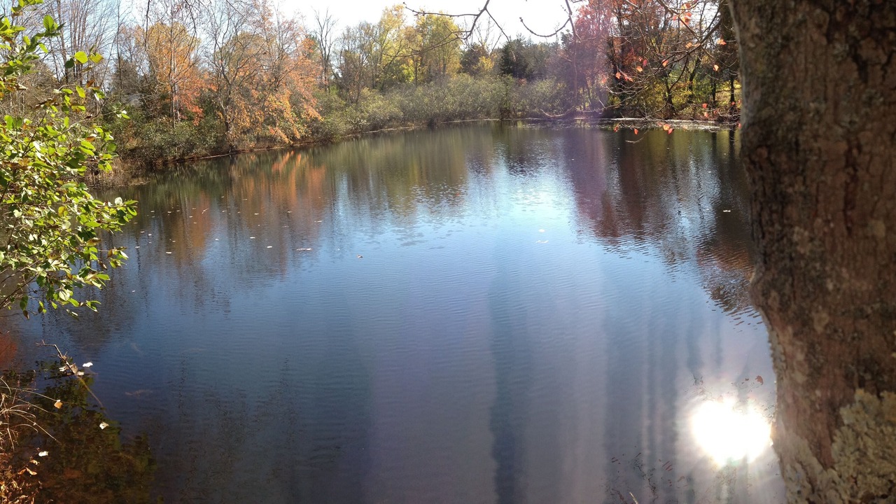 Photo of Others in Bedford Hills