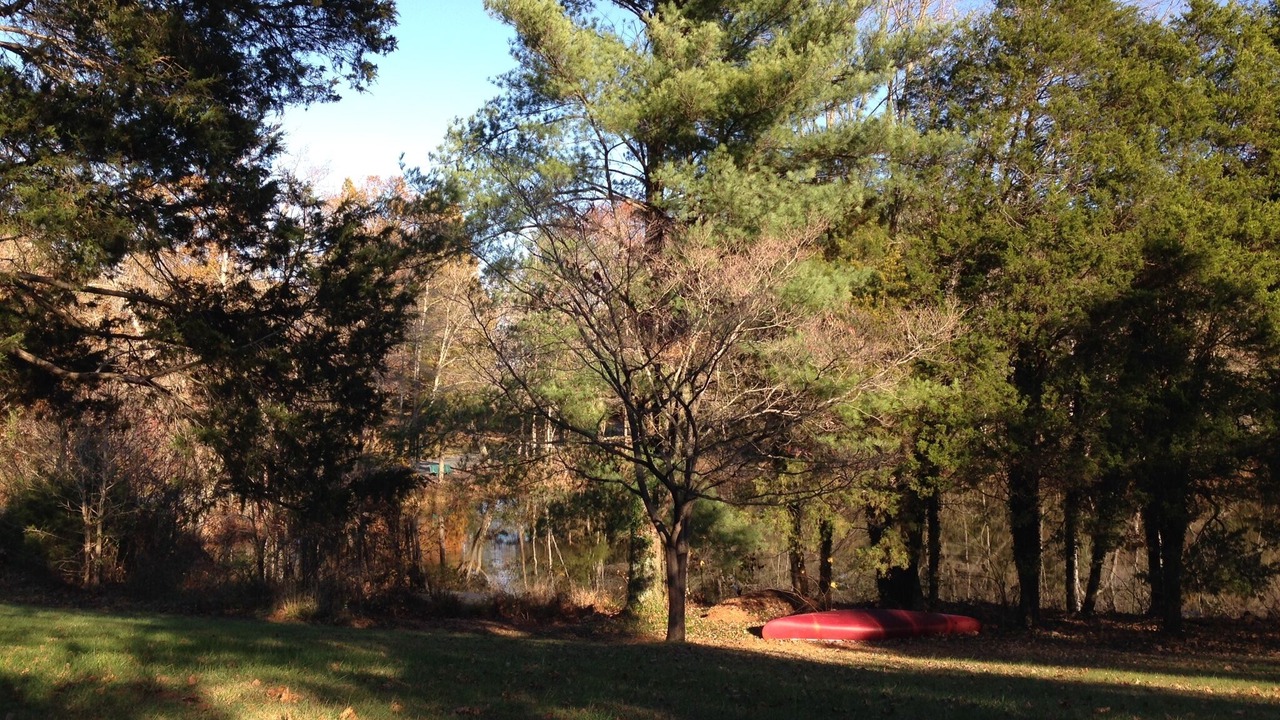 Photo of Others in Bedford Hills