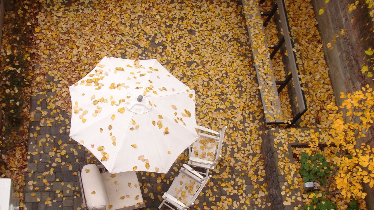 Photo of Others in Central Park North