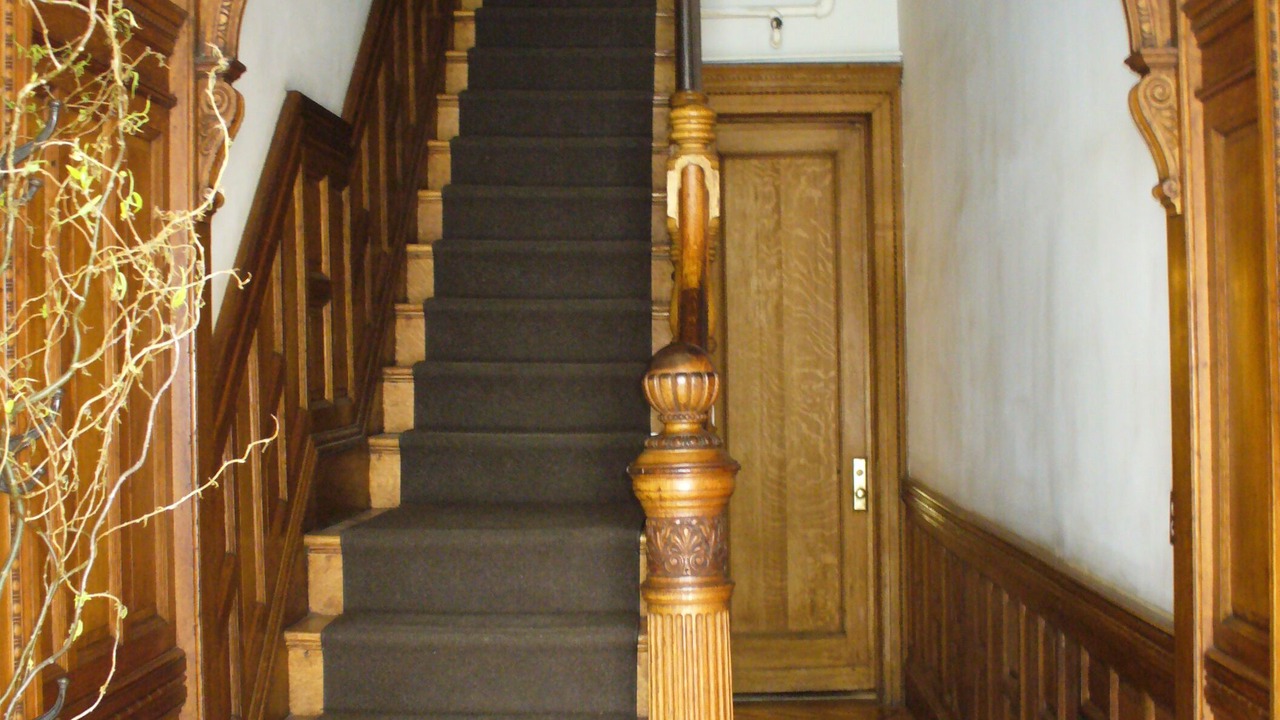 Photo of Others in Central Park North